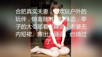 星空无限传媒 XKTC010 女业主的秘密