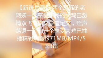 最新8月精品流出 成都女人味十足E奶御姐【西子老师】丰乳肥臀乳交足交口活啪啪一条龙