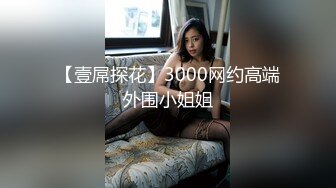 【壹屌探花】3000网约高端外围小姐姐