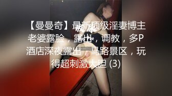 【曼曼奇】最新顶级淫妻博主老婆露脸，露出，调教，多P酒店深夜露出，马路景区，玩得超刺激大胆 (3)