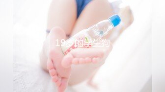 19岁的学生狗