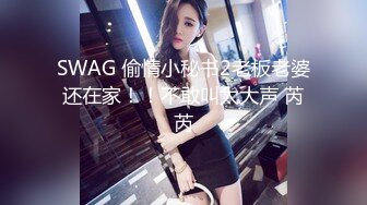 SWAG 黑短群+最爱的黑丝袜 这样就让我可以在公司厕所来一次