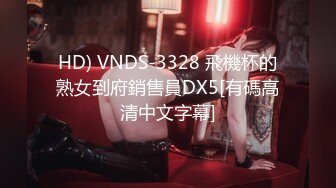 HD) VNDS-3328 飛機杯的熟女到府銷售員DX5[有碼高清中文字幕]