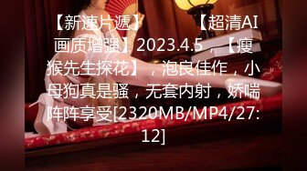 [IPX-576] カノジョの妹のパンチラ誘惑に下半身がバカになってピストンがやめられない！ 二葉エマ