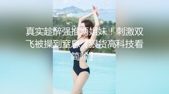 两个摇摇欲坠的大奶子