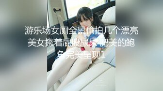 游乐场女厕全景偷拍几个漂亮美女撅着屁股尿尿 肥美的鲍鱼完美呈现1