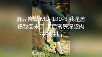 麻豆传媒 MD-190-3 我是苏畅我回来了 酒后蜜屄渴望肉棒的抽插