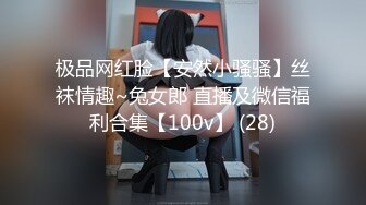 极品网红脸【安然小骚骚】丝袜情趣~兔女郎 直播及微信福利合集【100v】 (28)