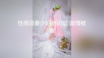 性感淫妻少妇小姐姐 激情被草