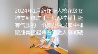 天美传媒TMP0070隔壁系上的高冷助教