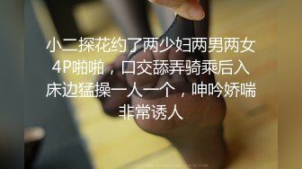 趁堵车玩个车震再说