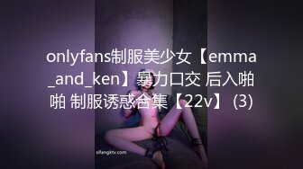 【重磅】良家约啪大神【dulianmaomao】极品人妻 床上好骚 大神是真会玩 人妻被玩的不要不要的 第三期 (2)