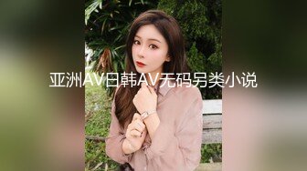 亚洲AV日韩AV无码另类小说