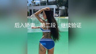 十一月最新流出 精品手持厕拍 服装商场二楼女厕前后视角偷拍多个美女楼梯口收脸