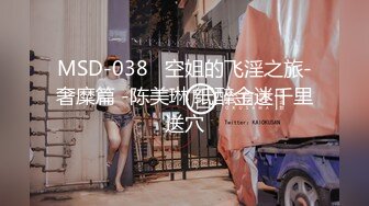 MSD-038   空姐的飞淫之旅-奢糜篇 -陈美琳 纸醉金迷千里送穴