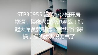 [MP4/ 2.04G] 约啪女神级气质小姐姐，丰腴白嫩极品大长腿，看的欲火狂涨迫不及待掰开逼逼啪啪猛力插入