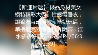 [MP4]STP28222 國產AV 色控 PH082 肉便器OL享受3P前後洞口都被灌滿 VIP0600