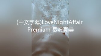 (中文字幕)LoveNightAffair Premiam 長沢真美