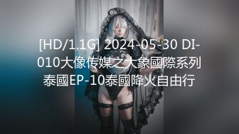 [HD/1.1G] 2024-05-30 DI-010大像传媒之大象國際系列泰國EP-10泰國降火自由行