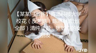 【解说】π652 美女教师的即插课程