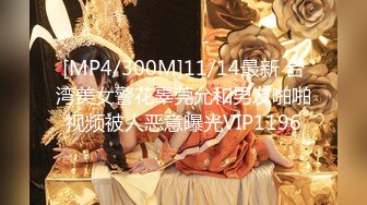 【在线】液液酱 – 黑猫女仆灰丝COS (37P+2V119MB)