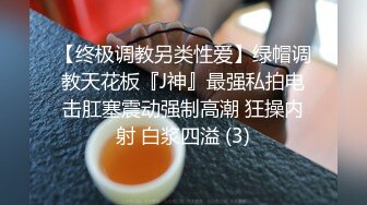 【自制字幕系列】 高端车模场 极品女神一颦一笑魅惑性感，香艳刺激撸管佳作--4K字幕版