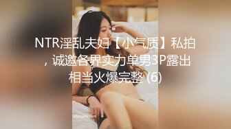 【AI换脸视频】张敏 轻熟美人妻红杏出墙，被陌生男子搭讪通奸