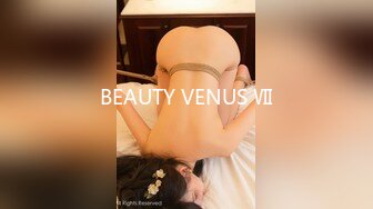 BEAUTY VENUS Ⅶ