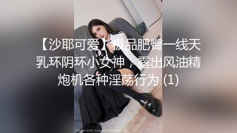 MDHG0017 麻豆传媒 这个面试有点硬 席卷全美日裔女神 Rae Lil Black