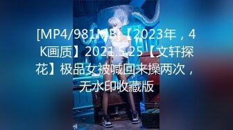 [MP4/981MB]【2023年，4K画质】2021.5.25【文轩探花】极品女被喊回来操两次，无水印收藏版